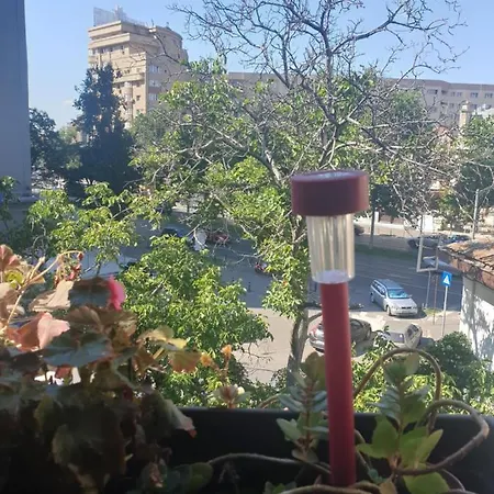 Yellow - Piata Victoriei Βουκουρέστι