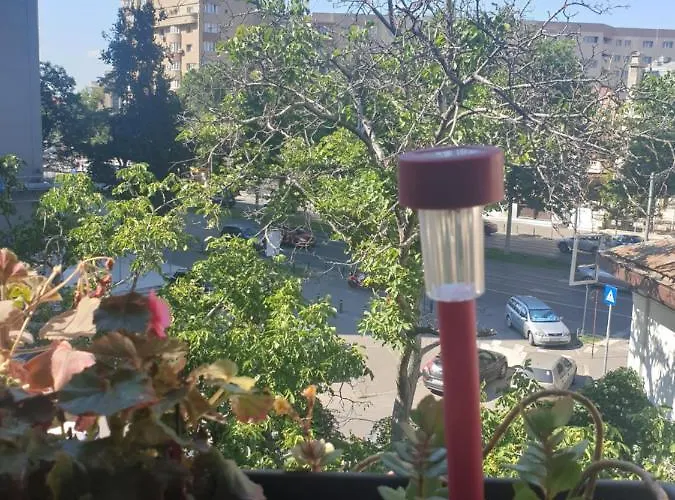 Yellow - Piata Victoriei Bucureşti